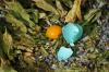 <img100*0:stuff/z/169023/Egg%2520Stock/i1277151482_23.jpg>