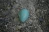 <img100*0:stuff/z/169023/Egg%2520Stock/i1277151482_24.jpg>