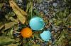 <img100*0:stuff/z/169023/Egg%2520Stock/i1277151482_25.jpg>