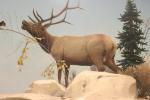 <img150*0:stuff/z/169023/Elk%2520%2526%2520Moose/i1283887152_22.jpg>