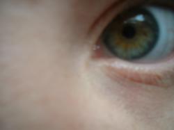 <img250*0:stuff/z/169023/Eye%2520Stock/i1256078758_5.jpg>
