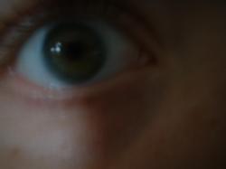 <img250*0:stuff/z/169023/Eye%2520Stock/i1256078759_19.jpg>
