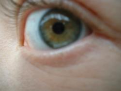 <img250*0:stuff/z/169023/Eye%2520Stock/i1256078759_27.jpg>