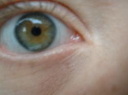 <img250*0:stuff/z/169023/Eye%2520Stock/i1256078759_9.jpg>