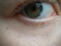 <img250*0:stuff/z/169023/Eye%2520Stock/i1256078760_28.jpg>