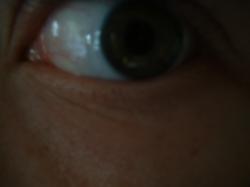 <img250*0:stuff/z/169023/Eye%2520Stock/i1256078760_30.jpg>