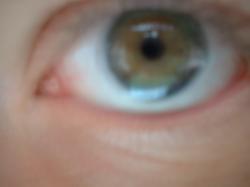 <img250*0:stuff/z/169023/Eye%2520Stock/i1256078760_33.jpg>