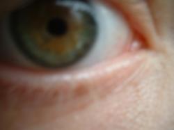 <img250*0:stuff/z/169023/Eye%2520Stock/i1256078760_34.jpg>