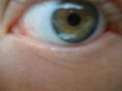 <img250*0:stuff/z/169023/Eye%2520Stock/i1256078760_39.jpg>
