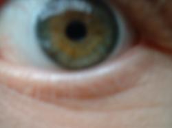 <img250*0:stuff/z/169023/Eye%2520Stock/i1256078760_40.jpg>