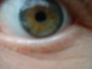 Eye Stock