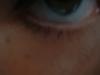 <img100*0:stuff/z/169023/Eyes%252010/i1263420644_1.jpg>