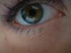 <img100*0:stuff/z/169023/Eyes%252010/i1263420644_9.jpg>