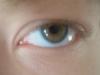 <img100*0:stuff/z/169023/Eyes24/i1258576045_10.jpg>