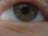 <img100*0:stuff/z/169023/Eyes24/i1258576045_7.jpg>