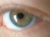 <img100*0:stuff/z/169023/Eyes24/i1258576046_14.jpg>