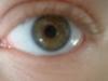 <img100*0:stuff/z/169023/Eyes24/i1258576046_19.jpg>