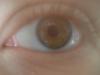 <img100*0:stuff/z/169023/Eyes24/i1258576046_22.jpg>