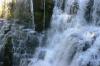<img100*0:stuff/z/169023/Falls%252010/i1279056079_22.jpg>