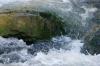 <img100*0:stuff/z/169023/Falls%252011/i1279056513_2.jpg>