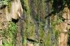 <img100*0:stuff/z/169023/Falls%252011/i1279056513_3.jpg>