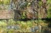 <img100*0:stuff/z/169023/Falls%252011/i1279056514_9.jpg>