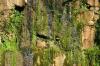 <img100*0:stuff/z/169023/Falls%252011/i1279056515_13.jpg>