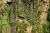 <img100*0:stuff/z/169023/Falls%252011/i1279056515_18.jpg>