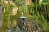 <img100*0:stuff/z/169023/Falls%252011/i1279056516_28.jpg>