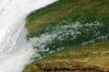 <img100*0:stuff/z/169023/Falls%252012/i1279057066_11.jpg>