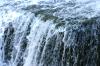 <img100*0:stuff/z/169023/Falls%252012/i1279057067_24.jpg>