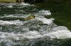 <img100*0:stuff/z/169023/Falls%252013/i1279057478_6.jpg>