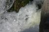 <img100*0:stuff/z/169023/Falls%252013/i1279057479_18.jpg>