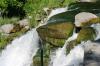 <img100*0:stuff/z/169023/Falls%252013/i1279057479_19.jpg>