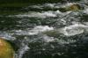 <img100*0:stuff/z/169023/Falls%252013/i1279057479_21.jpg>