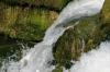 <img100*0:stuff/z/169023/Falls%252013/i1279057479_23.jpg>
