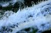 <img100*0:stuff/z/169023/Falls%252013/i1279057479_27.jpg>