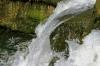 <img100*0:stuff/z/169023/Falls%252013/i1279057479_28.jpg>