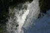 <img100*0:stuff/z/169023/Falls%25202/i1278944910_31.jpg>