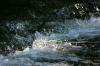 <img100*0:stuff/z/169023/Falls%25204/i1278947728_6.jpg>
