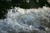 <img100*0:stuff/z/169023/Falls%25204/i1278947730_26.jpg>