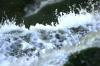 <img100*0:stuff/z/169023/Falls%25204/i1278947730_27.jpg>