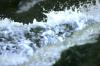 <img100*0:stuff/z/169023/Falls%25204/i1278947730_32.jpg>