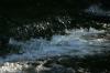 <img100*0:stuff/z/169023/Falls%25204/i1278947731_35.jpg>