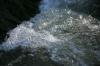 <img100*0:stuff/z/169023/Falls%25204/i1278947731_39.jpg>