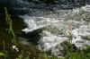 <img100*0:stuff/z/169023/Falls%25205/i1278948172_8.jpg>