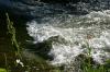 <img100*0:stuff/z/169023/Falls%25205/i1278948173_23.jpg>