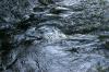 <img100*0:stuff/z/169023/Falls%25205/i1278948175_39.jpg>