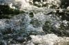 <img100*0:stuff/z/169023/Falls%25206/i1278949402_1.jpg>