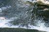 <img100*0:stuff/z/169023/Falls%25206/i1278949403_18.jpg>